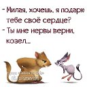 ���� ������, ������������, 45 ��� - ��������� 22 ������ 2015 � ������ �������