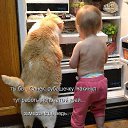 ���� ������, ���������� - ��������� 3 �������� 2015 � ������ ������ ��������