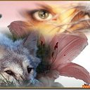 ���� �����, ������� - ��������� 17 ��� 2015 � ������ ���� ����������