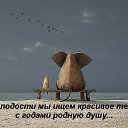 ���� �lga, ������ - ��������� 8 ������� 2015 � ������ ������ ��������