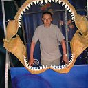 ���� ������, �����, 43 ���� - ��������� 13 �������� 2015 � ������ ���� ����������