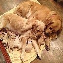 ���� ������� - �� ��������!, �������� - ��������� 9 ���� 2015 � ������ ������ ��������