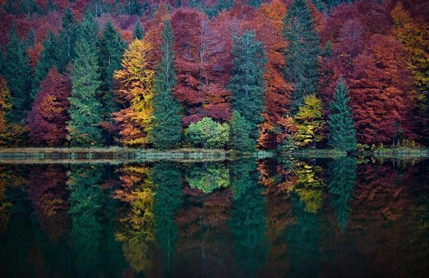       .#_@interestplanet_ru