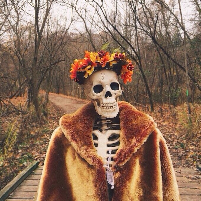       .,    Skellie. ... - 3
