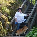  , -, 66  -  25  2015    