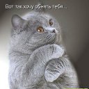 ���� ���������, ��������, 39 ��� - ��������� 28 ���� 2015