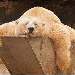 �������, ������