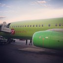 ���� ���������, ����, 46 ��� - ��������� 4 ������� 2015 � ������ ������ ��������