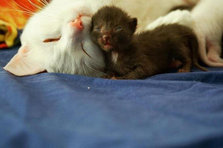 :3 - 5
