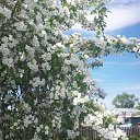 ���� �����, ������������, 56 ��� - ��������� 2 ���� 2015 � ������ ���� ����������