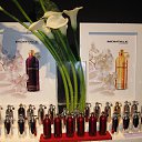 ���� ���, ������, 49 ��� - ��������� 28 ���� 2015 � ������ ���� ����������