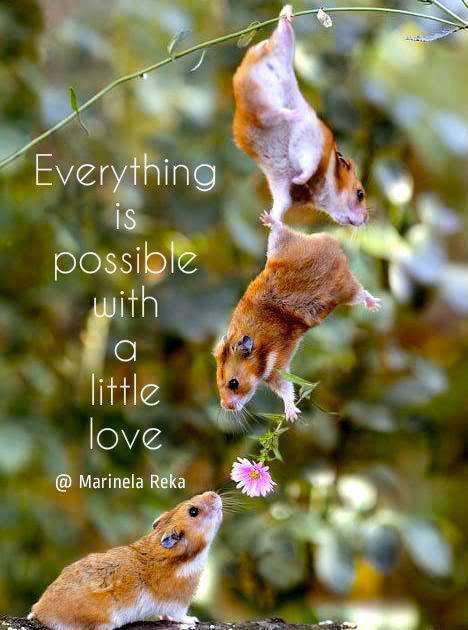  | English for everyone - 24  2015  09:04