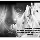 ���� �������, �������, 44 ���� - ��������� 16 ���� 2015 � ������ ������ ��������