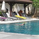    -  ,  -  4  2015    2014.  Ibis.  7-.