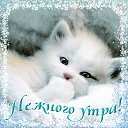 ���� �����, ��������� - ��������� 23 �������� 2015 � ������ �������� ��������