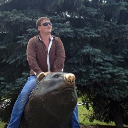 ����������, ������, 39 ���