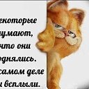 ���� ����, �������, 46 ��� - ��������� 26 ��� 2015 � ������ ������ ��������