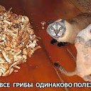 ���� �����, ��������, 59 ��� - ��������� 13 ������� 2015 � ������ ������ ��������