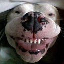 ���� ��������, �����������, 59 ��� - ��������� 17 ���� 2015 � ������ ������ ��������