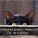 ���� ������, ���������, 43 ���� - ��������� 13 ������� 2015 � ������ ������ ��������