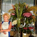  ,   -  15  2015   ,  2015  