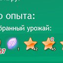  ,  -  2  2015       . 12  2015- ... ..
