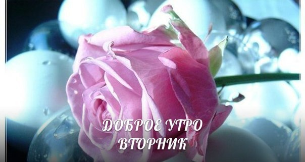  - 12  2015  04:22