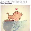 ���� �����, ��������, 58 ��� - ��������� 4 �������� 2015 � ������ ���� ����������