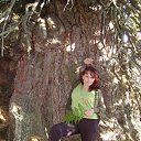 ���� ��������, ������, 48 ��� - ��������� 31 ������� 2015 � ������ ���� ����������