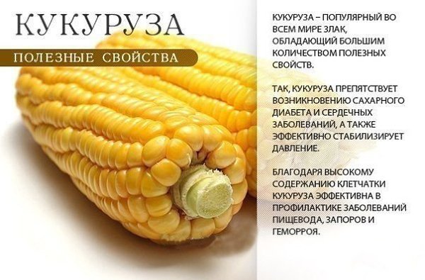 Забери себе на стену полезные оранжевые фрукты, овощи и ягоды)) - 4