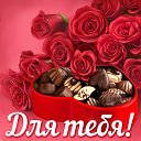 ���� �������, �����������-��-����� - ��������� 1 ���� 2015 � ������ �������� ��������