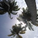 ���� �������, �����, 62 ���� - ��������� 10 ������� 2015 � ������ ��������� 2015�