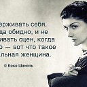 ���� �������, �����-������� - ��������� 8 �������� 2015 � ������ ������ ��������