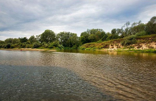 Река Ока и ее фотографии.Река Ока — одна из крупнейших рек в центральной части России, так же ... - 10