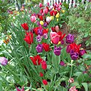  , , 60  -  7  2015       04.05.15.