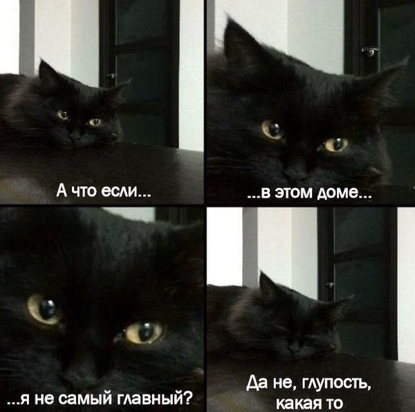       - 25  2015  21:01