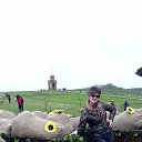 ���� �������, ���������, 59 ��� - ��������� 5 ��� 2015 � ������ ���� ����������