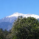 ���� ������, �����, 46 ��� - ��������� 2 ��� 2015 � ������ ������߻