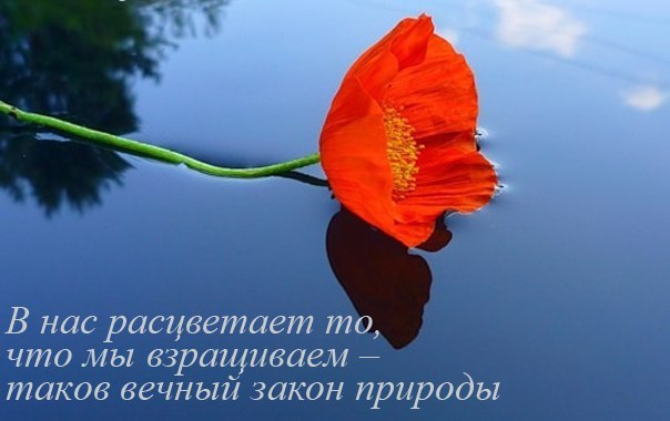   - 12  2015  20:03