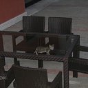 ���� ����� ������, �����, 61 ��� - ��������� 8 ������� 2015 � ������ ������ ��������