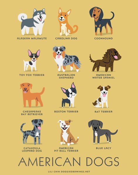 Dog breeds - 2