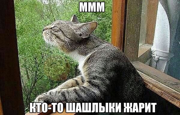    :-) - 3  2015  03:41
