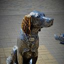 ���� �������, ������, 40 ��� - ��������� 1 ��� 2015 � ������ ��������