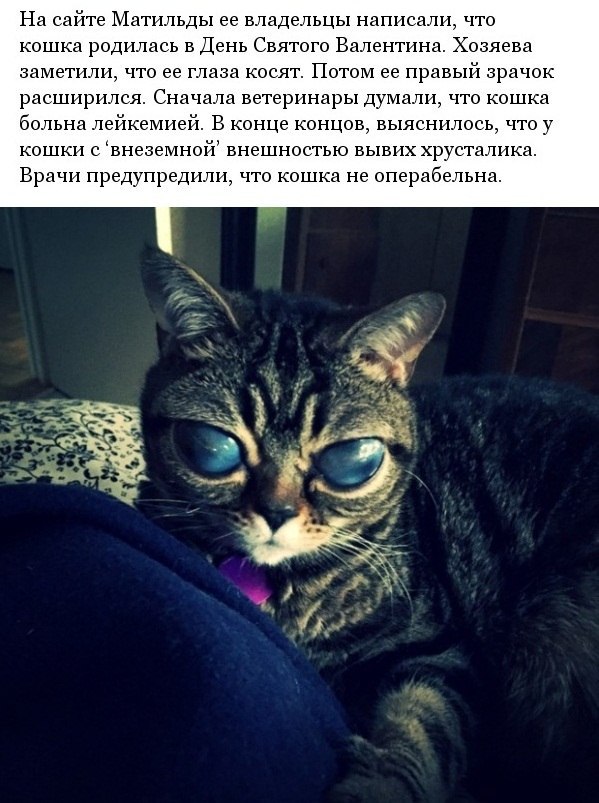    - - 2