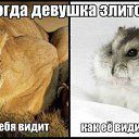���� �����, �����, 48 ��� - ��������� 24 ���� 2015 � ������ ��������-����������-�������������Ż