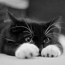 ������... ��� �� ��������... ��������� �������� ��������. �� ������� ������ ��������