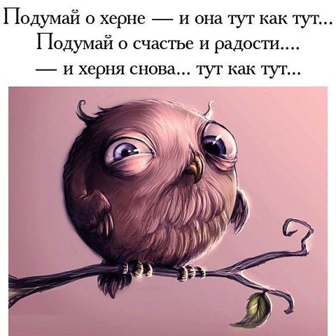  - 14  2015  14:10