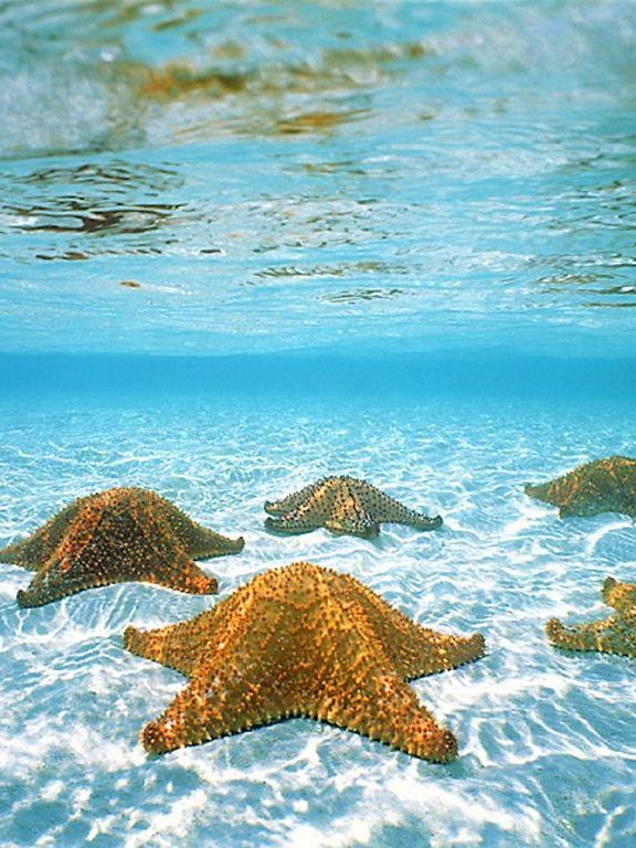 ������� ������� �����, ������� - � ����� ����� ����. - 2