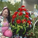 ���� �������, ������ ��������, 67 ��� - ��������� 31 ��� 2015 � ������ ��������� ������� �������