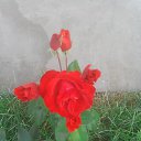 ���� �����, ����������, 62 ���� - ��������� 22 �������� 2015 � ������ ���� ����������